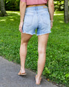 Holland High Rise Distressed Shorts - Light Wash